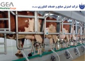 سه دلیل برای بازدهی ١٠٠ درصدی تک سهم تجهیزاتی بازار