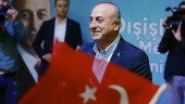 وزیر خارجه ترکیه: اروپا در حال بازگشت به دوران به دوران فاشیسم و خشونت است 