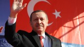 اردوغان: برای آمریکا مشخص کرده بودم که در هیچ تحریمی علیه ایران شرکت نمی‌ کنیم / وزیر پیشین اقتصاد کشورمان سیاست های ما را اجرا کرد 
