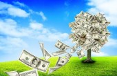  صندوق هایی که سبز ماندند...!؟