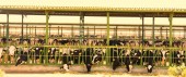 توضیحاتی از «گلدشت نمونه اصفهان»