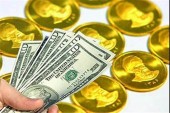 نرخ دلار بالا کشید / ثبات قیمت سکه در آخرین روز کاری هفته 