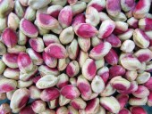 چرایی کاهش صادرات پسته از نگاه یک نماینده مجلس / پاشنه آشیل معرفی برند پسته ایرانی 