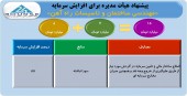سهامداران بالاس و افزایش سرمایه ای جذاب...