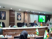 یک اقتصاددان: ۸۰ درصد وام های صنعتی و تسهیلاتی که به نام صنعت گرفته شده در بخش مسکن خرج شد، اما... 