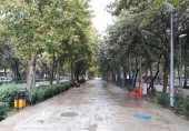 هوای شمال کشور خنک می شود