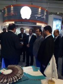 همه چیز درباره روز نخستین کیش اینوکس چهارم را اینجا بخوانید 