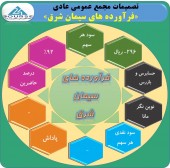 این شرکت سودی برای تقسیم نداشت