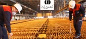 «مس شهید باهنر» از بودجه می گوید