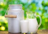افزایش نرخ شیر هنوز تصویب نشده است