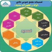 این شرکت سودی برای تقسیم نداشت