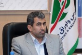 پورابراهیمی: شفافیت بازار ارز از جاده بورس می گذرد