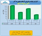 آهن و فولاد ارفع از فعالیت ٩ ماهه خود گفت