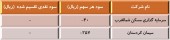این دو شرکت سودی برای تقسیم نداشتند