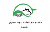 «زگلدشت» در چه محدوده ای خریدنی است؟!
