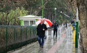 باراش باران در تهران؛ امروز ١۶ دی ماه ٩۶... / تصاویر 