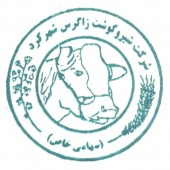 عرضه اولیه «زشگزا» به کجا رسید؟