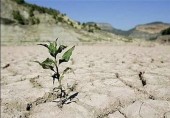 استانی که فقط ۱ میلیمتر بارش دارد/ پرباران ترین و کم باران ترین استان های کشور را بشناسید