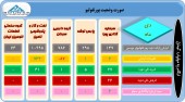 فعالیت کم این سرمایه گذاران در دی ماه
