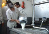 افزایش ٢٠ درصدی قیمت تمام شده شیر خام