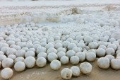گلوله برفی نقدینگی!