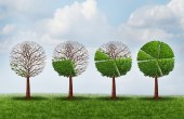 حال و هوای زمستانی صندوق ها