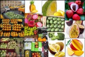 تزریق قطره چکانی میوه های ممنوعه/ هشدار درباره یک سناریوی احتمالی