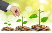 حرکت صندوق ها در مسیر لغزنده بازار