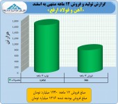 عملکردی جذاب از فولاد ارفع/این فولاد ساز از بودجه عبور کرد