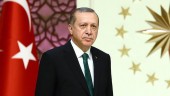 اردوغان: اوضاع در سوریه در حال آرام شدن است / هم با پوتین حرف زدم، هم با ترامپ 