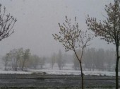 برف بهاری در ۸ استان