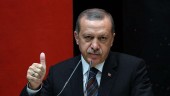 اردوغان خطاب به مردم ترکیه: دلار و یوروهایتان را از زیر بالشت‌ های خود در آورید / همه را لیر کنید! 