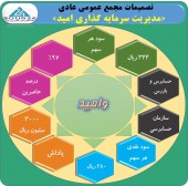 مدیریت سرمایه گذاری امید چه تصمیماتی اتخاذ کرد؟
