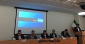 مجمع «ددام» سودی برای تقسیم نداشت