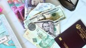 یک منبع آگاه در بانک مرکزی: فعلا برنامه‌ ای برای حذف ارز مسافرتی در دستور کار نیست 