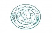 اصلاح «۵ ماهه» این سهم تمام شده؟!