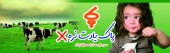 تاثیر افزایش نرخ لبنیات تا ٣٢ درصد / عضو هیئت مدیره پاک : عملیات لبنیاتی ها تازه از زیان فاصله می گیرد ؛ فقط همین!