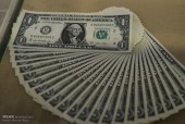 تکلیف دولت به پتروشیمی ها؛ هرچه ارز دارید تسلیم بانک مرکزی کنید