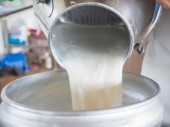 نرخ جدید شیر خام تا آخر این ماه اعلام می شود