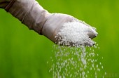 یک مقام مسئول در پتروشیمی پردیس: نرخ کنونی اوره غیر قانونی است 
