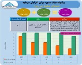 سرمایه سفید نی ریز ٣ برابر می شود
