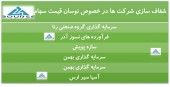 شفاف سازی چند شرکت دیگر بعد از نوسان قیمت سهام