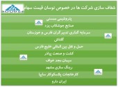 شفاف سازی ١٠ شرکت پس از نوسان قیمت سهام