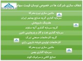 شفاف سازی ١٠ شرکت در پی نوسان قیمت سهام