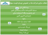 شفاف سازی این شرکت ها در پی نوسان قیت سهام