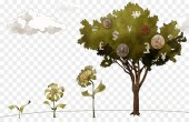 ماحصل انتظار صندوق ها برای ١٣ آبان