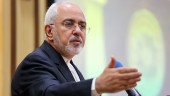ظریف: نباید از ترس مرگ خودکشی کرد 