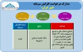 فیبر ایران یک قدم دیگر به افزایش سرمایه نزدیک شد