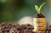 زیرپوست چند سهم بنیادی