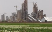 سیمان مجد خاف نیز قصد برگزاری یک مزایده را دارد
